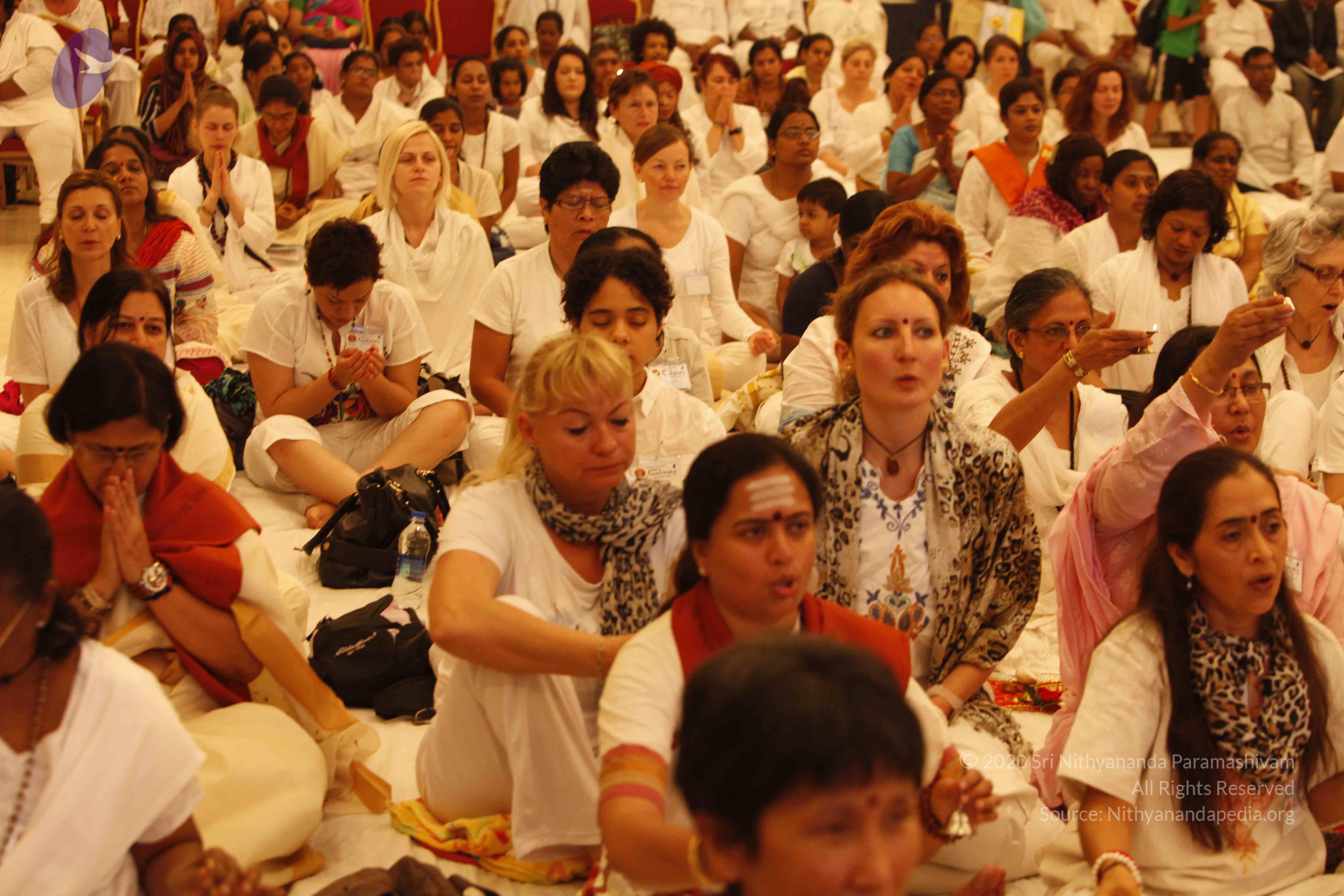 20140501_Photo_1049__MG_2899_CMP_WM